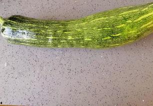 宝宝吃拉瓜好吃,拉瓜美味新体验